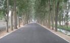 吴江乡村公路改造开始招标 涉及40公里道路5座桥 