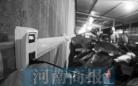 郑州充电棚问题多建设难 为啥还要求“全覆盖”？