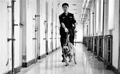 民警与地铁搜油犬 摄影/本报记者 黄亮