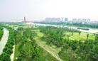 吴江：“运河生态长廊”年底建成开放