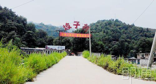 安家坡村有多少人口_桲罗台镇安家峪村(2)