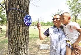 吴江公园树木有了“身份证”