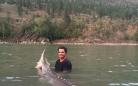 加拿大男孩捕获80岁“猪鼻”鲟鱼3米长580斤重