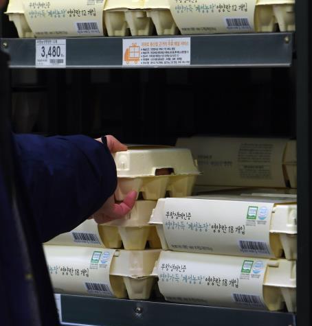 韩国禽流感导致鸡蛋价格上涨 政府呼吁公众配