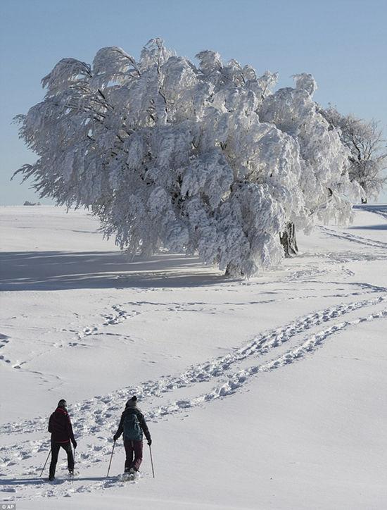 凛冬降临欧洲 西班牙迎35年来最大降雪 - 国际