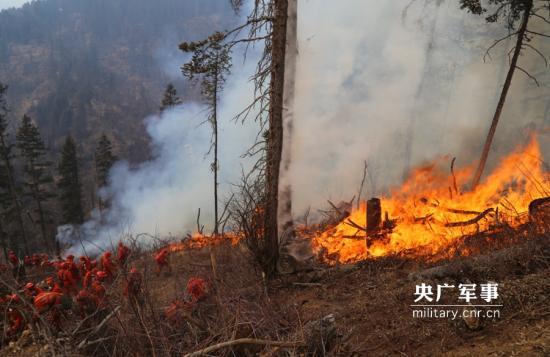 发生在2月8日15时50分的四川省甘孜州炉霍县雅德乡康古村草原