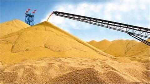 中国小麦产量再创新高（锐财经）