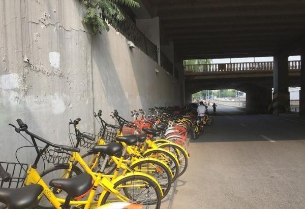 北京现七彩单车 300米共享单车带令人崩溃“车满为患”该怎么办？