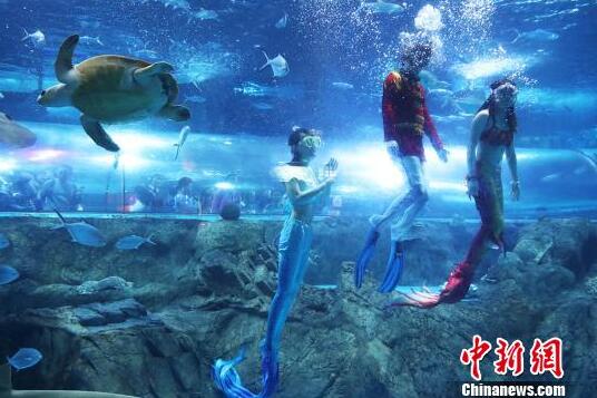 “人鱼小姐”亮相南京海底世界上演《美人鱼之恋》