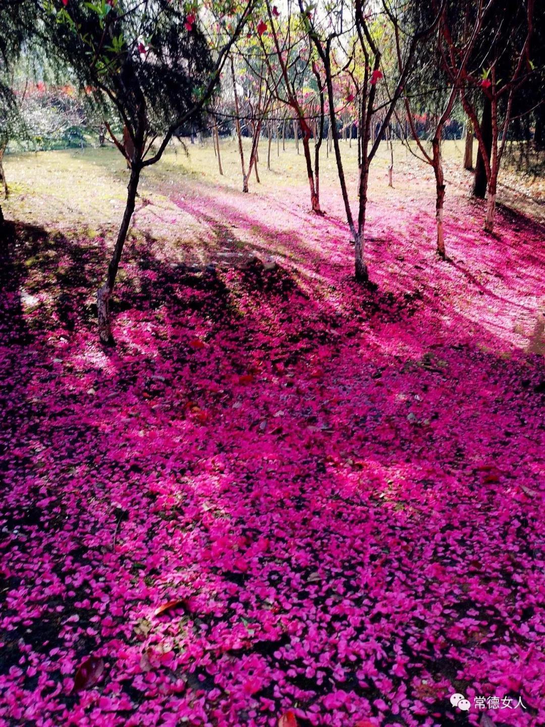 中国桃花源——人间仙境心灵故乡