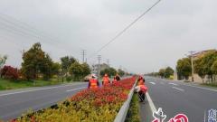 靖江公路站修剪行道树开展春季绿化养护