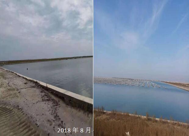 辽宁锦州凌海市肆意变通推动实施违法围填海项目