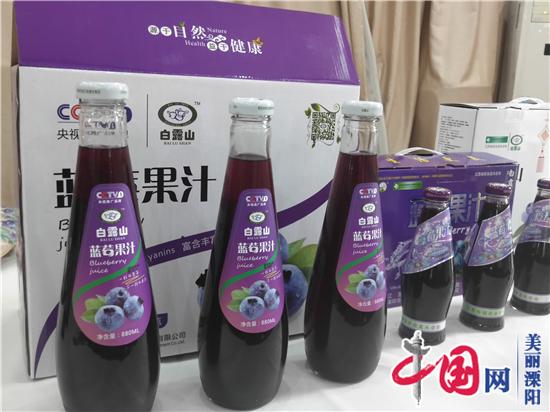 溧阳白露山第八届蓝莓采摘节开釆暨健康新饮品发布