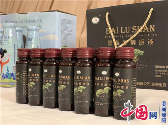 溧阳白露山蓝莓健康新饮品备受游客推崇