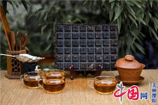 溧阳龙鑫农业生态园——独创“黑金白茶”市场前景看好