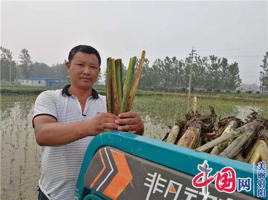 射阳临海农民宋从忠 走上水生蔬菜种植路