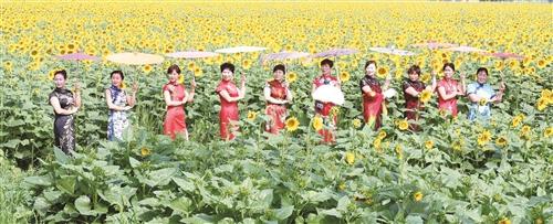沛县沛城发展乡村文化旅游+农业支柱产业 30公里观光农业带好看又富民