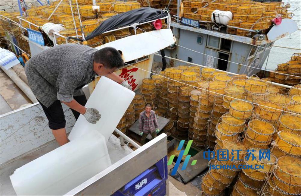 连云港结束为期3个月的伏季休渔 沿海渔民备给养待开海