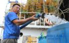 连云港结束为期3个月的伏季休渔 沿海渔民备给养待开海