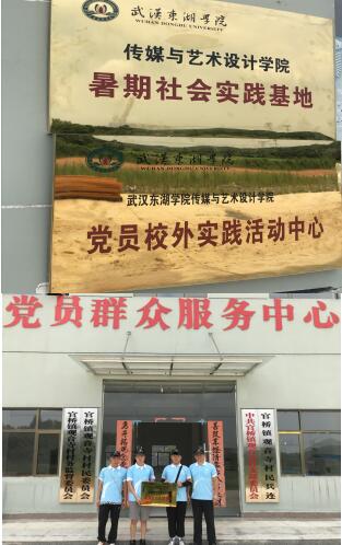 武汉东湖学院“大学生党员梦工厂”走进观音寺村