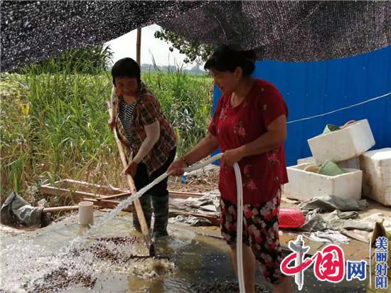 射阳临海镇韦涛：建成15亩水蛭养殖规模
