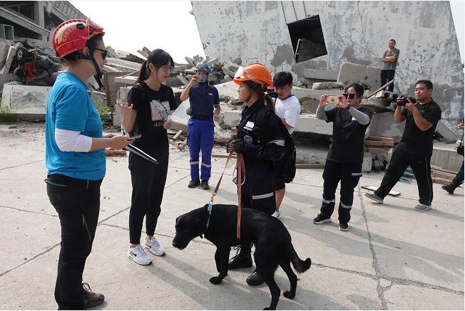 首届中国杯国际搜救犬全球邀请赛在北京举办