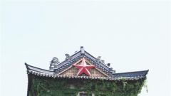 图说美丽新南京：南大百年爬山虎 夏日都市里的一道清凉风景
