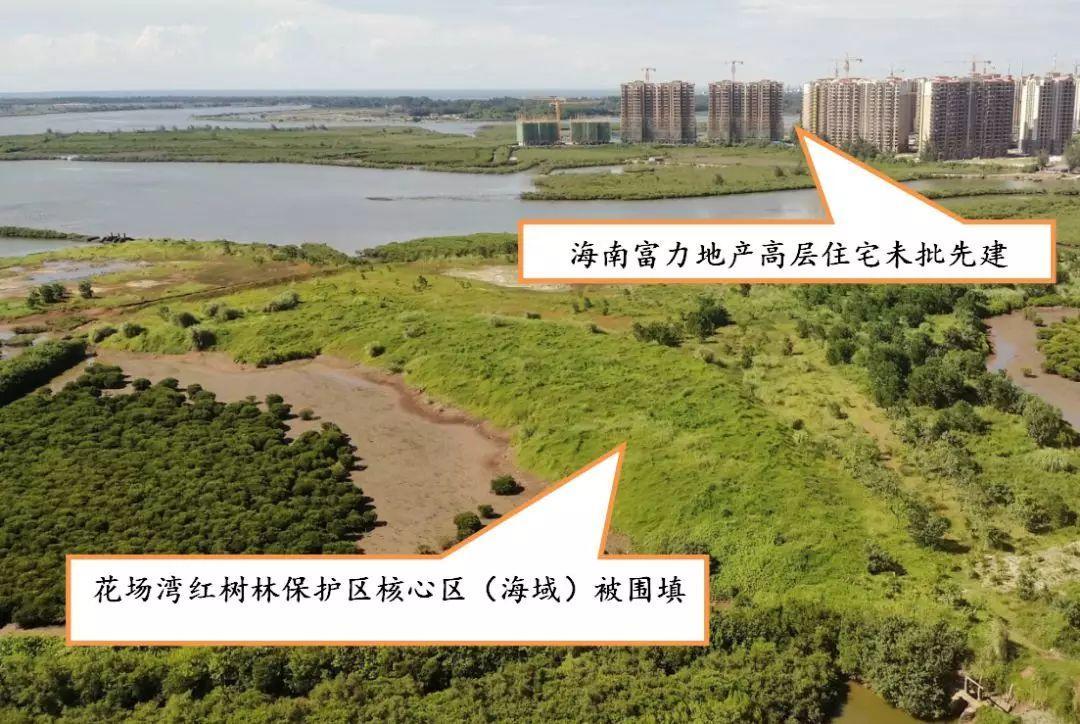 生态环境部海南澄迈县肆意围填海破坏红树林性质十分恶劣