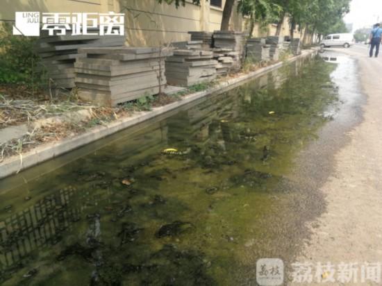 南京正荣润江城新建小区门口污水漫溢 业主多次反映无人监管