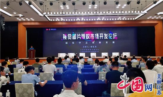 视觉图片版权市场开发论坛在南京举行 为版权保护支招