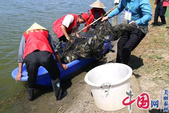 江苏泰兴：让“丰收节”的“农”味更足