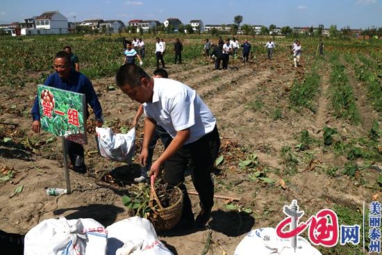 江苏泰兴：让“丰收节”的“农”味更足