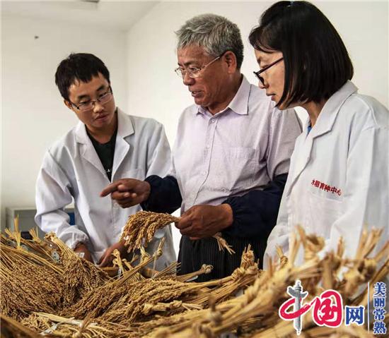 新时代最美常熟人系列报道之一：水稻育种专家端木银熙