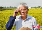  新时代最美常熟人系列报道之一：水稻育种专家端木银熙