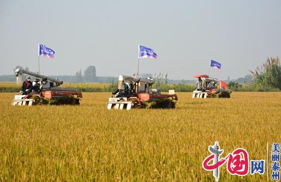 “兴化大米”全产业链打造闭环助农增收