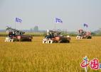  “兴化大米”全产业链打造闭环助农增收
