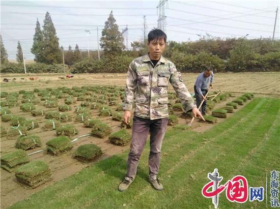 镇江荣炳退役军人马涛带领村民种草坪创富
