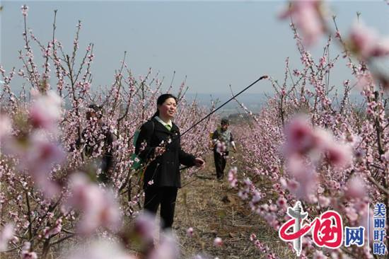 在荒山上绘画  于环保中著文——访全国人大代表、盱眙县石马山生态农业开发有限公司总经理李叶红