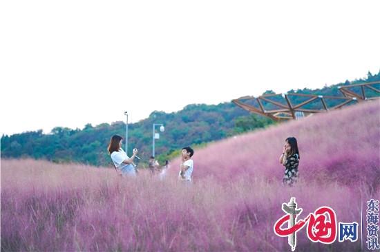 聚焦紫东 打卡汤山——第十一届汤山温泉文化旅游季将于本月16日开幕