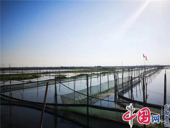 江苏两地检察机关建立大纵湖湿地跨区域公益诉讼联动机制