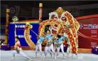 第十二届全国舞龙舞狮锦标赛在溧阳举行