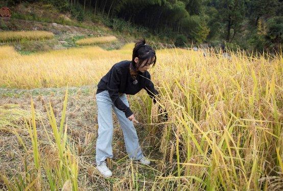 子望在《蜜食记》第五季"艺能"爆棚,田间劳作,上树摘柿样样精通