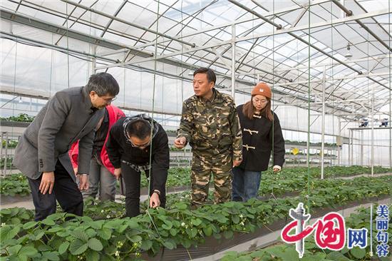 草莓种植能手眼里的诗画农业——江苏农林风景园林学院学生党支部走访全国劳模纪荣喜