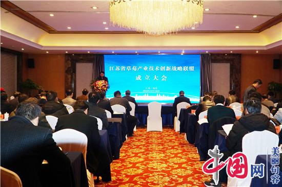 江苏省草莓产业技术创新战略联盟成立