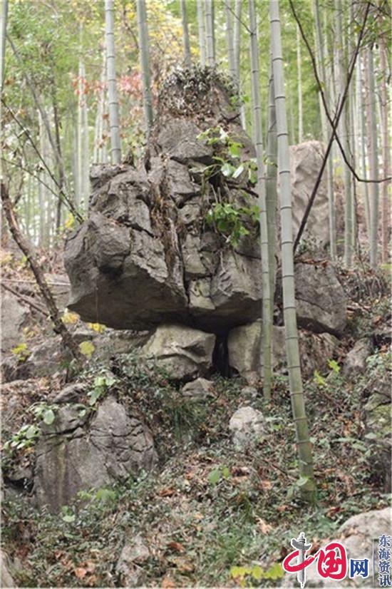宜兴竹海景区山顶林海中发现一处原始石林