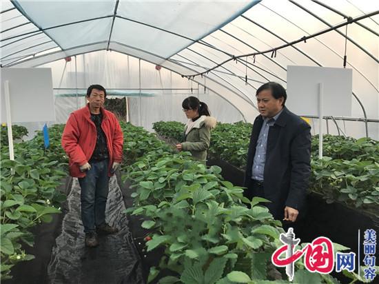 镇江农业专家吉沐祥：“绿色防控”拓宽果农创富路