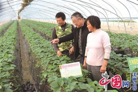 镇江农业专家吉沐祥：“绿色防控”拓宽果农创富路