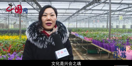 花木江苏专题微视频《树木青青花艳艳》在中国网正式播出