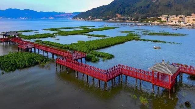 福州罗源县举办“多彩北山，畅享渔乡”红树林旅游节