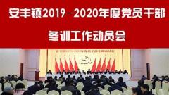 兴化市安丰镇召开2019-2020年度党员干部 冬训工作动员会